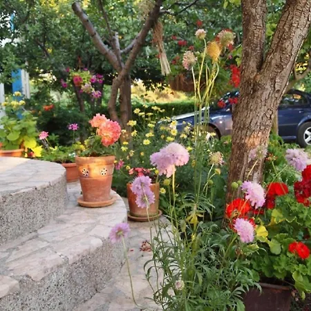 Ana Apartman