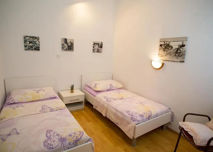 Ana Apartman Vlasici