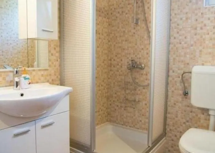 Apartment Ana Vlasici